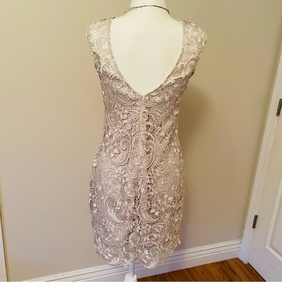 Francesca’s Lace Overlay Mini Dress – Silver/White, Elegant, Size Medium - Picture 6 of 13